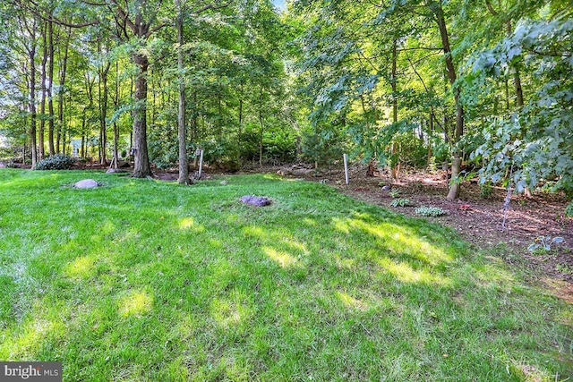 404 Herington Dr, Reading, PA 19608 - view of grassy yard