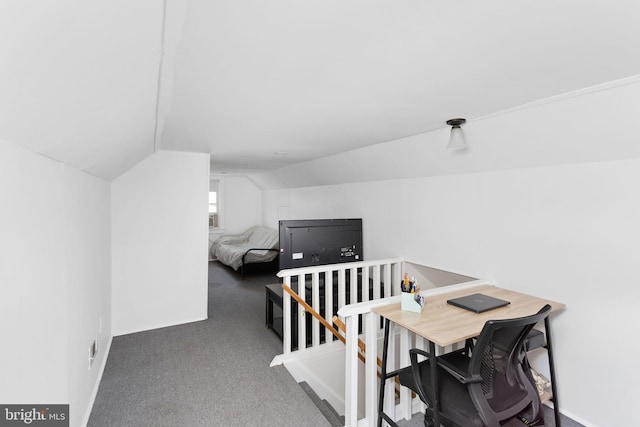 260 Irvington Pl, Hamilton, NJ 08610 - carpeted office space featuring vaulted ceiling and baseboards