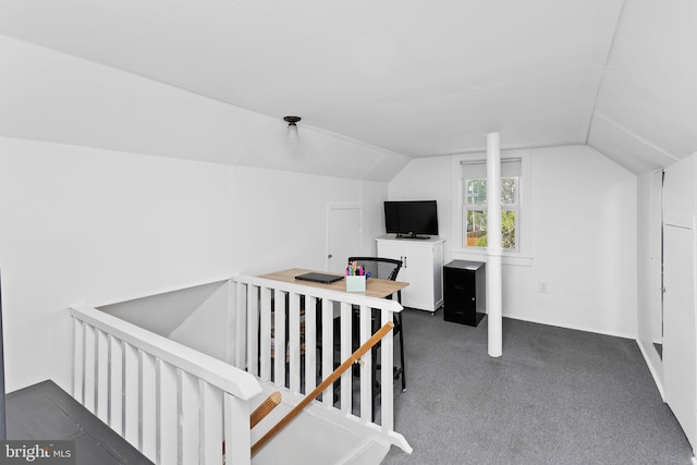 260 Irvington Pl, Hamilton, NJ 08610 - additional living space with lofted ceiling and carpet floors