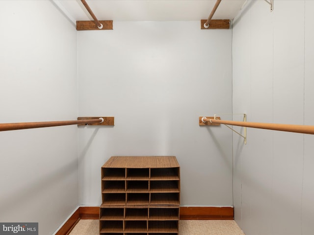55 W Duck St, Front Royal, VA 22630 - view of spacious closet