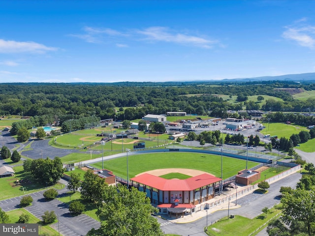 55 W Duck St, Front Royal, VA 22630 - drone / aerial view of a forest