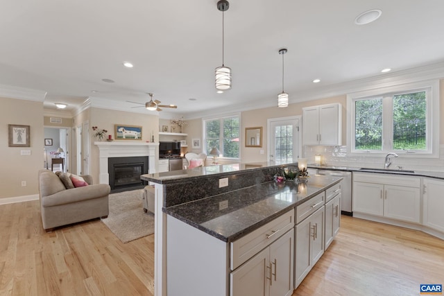 109 Stonecrest Ave, Waynesboro, VA 22980 - kitchen featuring stainless steel dishwasher, a glass covered fireplace, ornamental molding, light wood-type flooring, and white cabinets