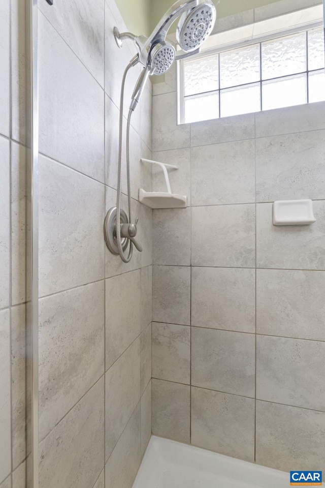 109 Stonecrest Ave, Waynesboro, VA 22980 - full bathroom with tiled shower