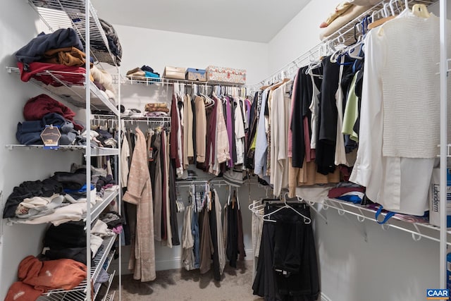 109 Stonecrest Ave, Waynesboro, VA 22980 - spacious closet with carpet