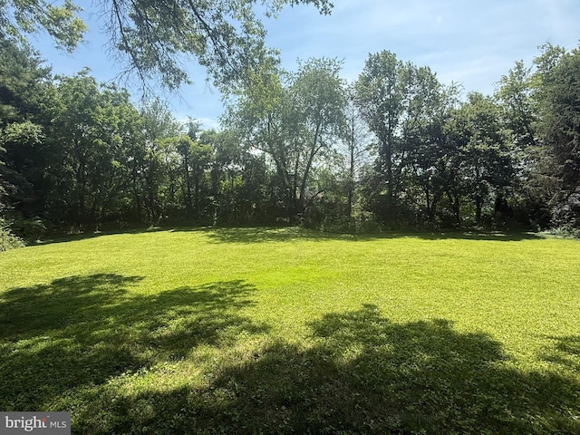 7 Old Farm Ln, New Freedom, PA 17349 - view of grassy yard