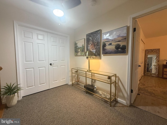 7 Old Farm Ln, New Freedom, PA 17349 - hall with carpet flooring