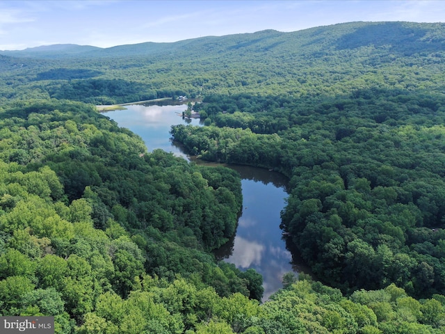 832 Shenandoah River Dr, Harpers Ferry, WV 25425 - aerial view of a water and mountain view