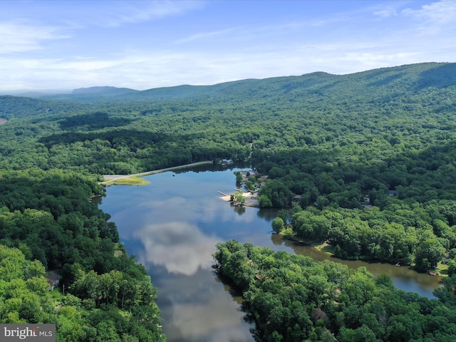 832 Shenandoah River Dr, Harpers Ferry, WV 25425 - bird's eye view of a forest and a water and mountain view