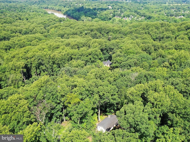 832 Shenandoah River Dr, Harpers Ferry, WV 25425 - drone / aerial view of a forest
