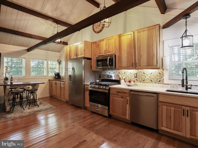 832 Shenandoah River Dr, Harpers Ferry, WV 25425 - kitchen featuring stainless steel appliances, light countertops, backsplash, and healthy amount of natural light