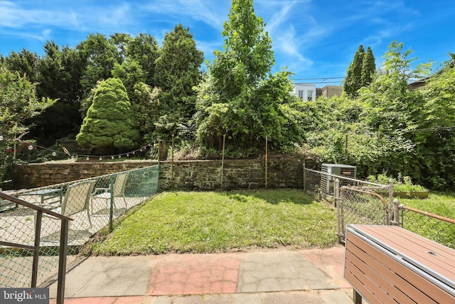 260 Rock St, Philadelphia, PA 19128 - view of yard