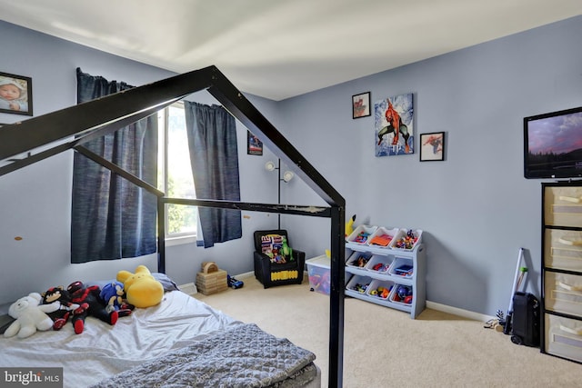 28 Wister Way, Reading, PA 19606 - carpeted bedroom featuring baseboards