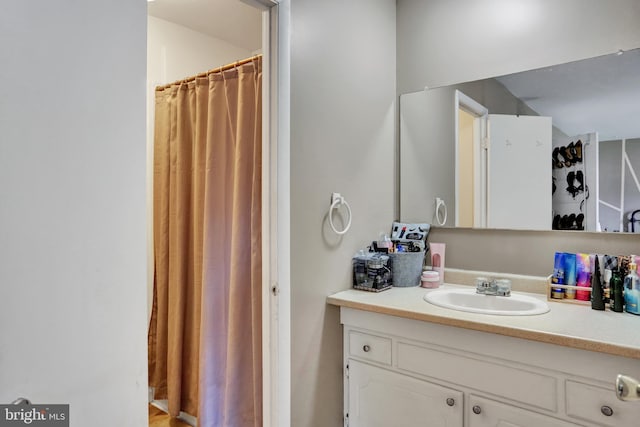 28 Wister Way, Reading, PA 19606 - bathroom featuring vanity and a shower with curtain