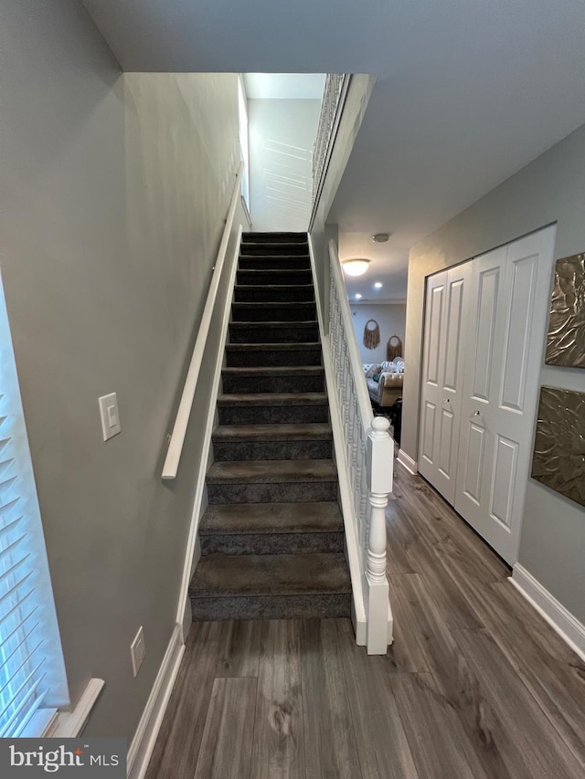 44 Meadowrue Ln, Sicklerville, NJ 08081 - staircase with wood finished floors and baseboards