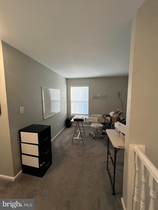 44 Meadowrue Ln, Sicklerville, NJ 08081 - living room featuring carpet flooring and baseboards