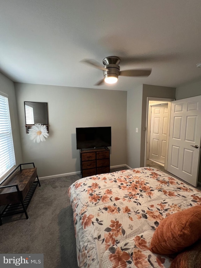 44 Meadowrue Ln, Sicklerville, NJ 08081 - bedroom with carpet and ceiling fan