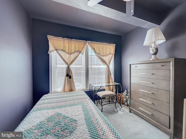 7317 Jubilee Cir, Elkridge, MD 21075 - view of carpeted bedroom