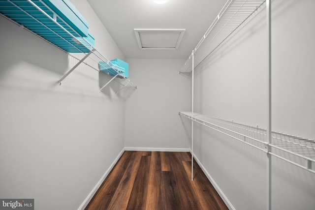 14908 Slippery Elm Ct, Woodbridge, VA 22193 - walk in closet featuring wood finished floors and attic access