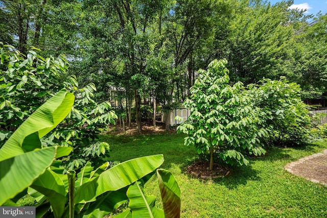 14908 Slippery Elm Ct, Woodbridge, VA 22193 - view of grassy yard