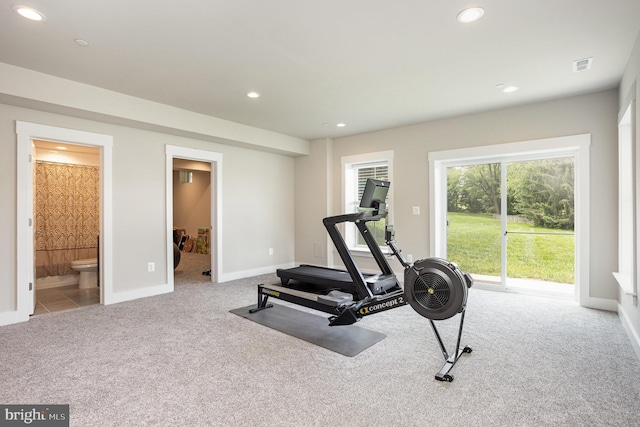 1311 Corbett Rd, Monkton, MD 21111 - workout room with carpet flooring and recessed lighting