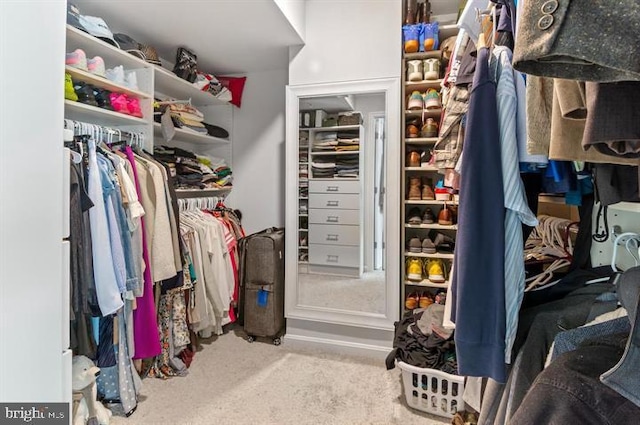 2041 Ruby Turn, Bowie, MD 20721 - walk in closet featuring carpet