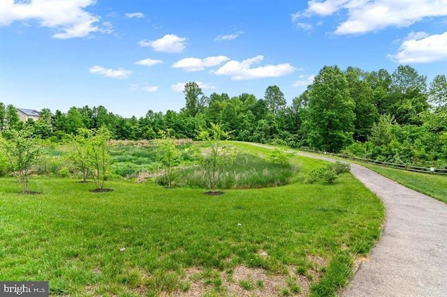 2041 Ruby Turn, Bowie, MD 20721 - view of community with a yard