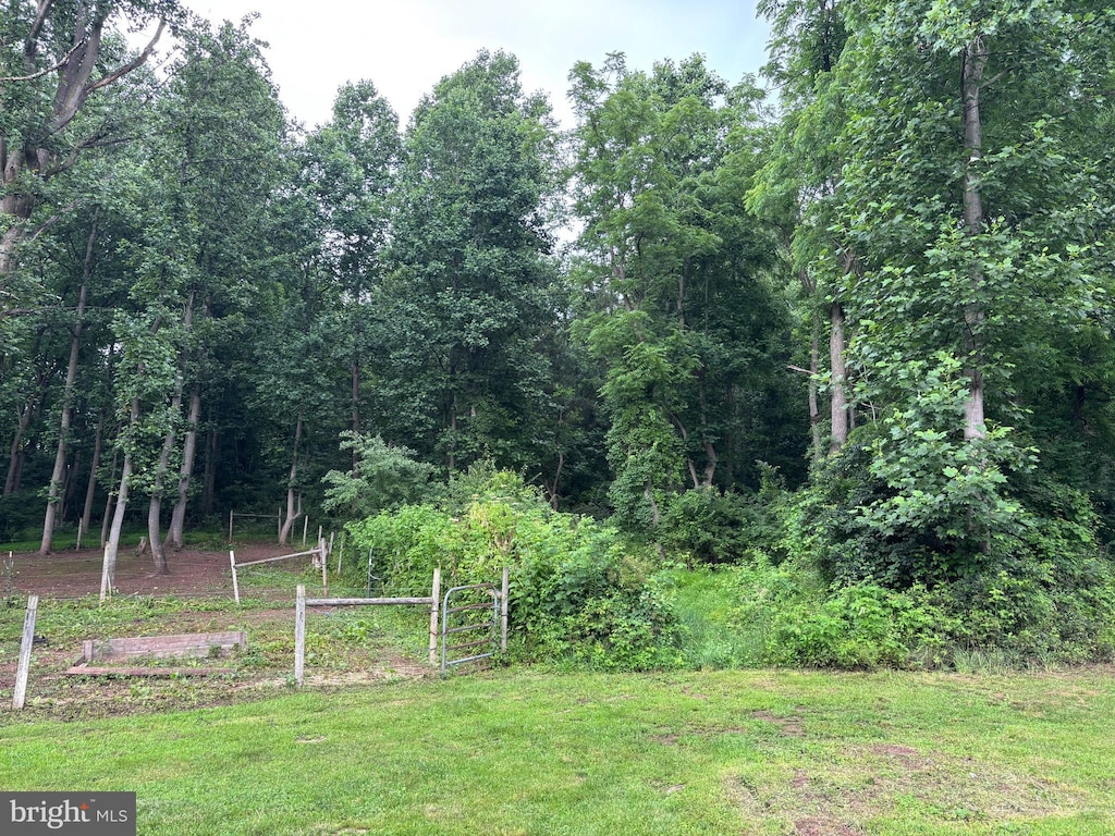 449 Westley Rd, Mohnton, PA 19540 - view of green lawn with a garden and a view of trees