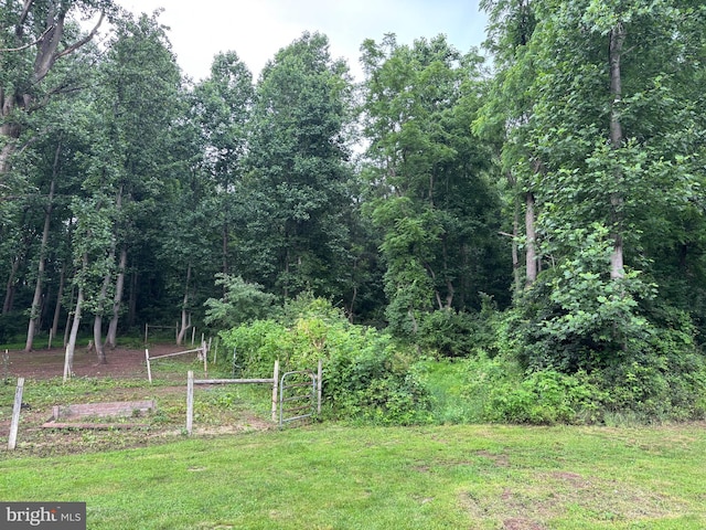 449 Westley Rd, Mohnton, PA 19540 - view of green lawn with a garden and a view of trees
