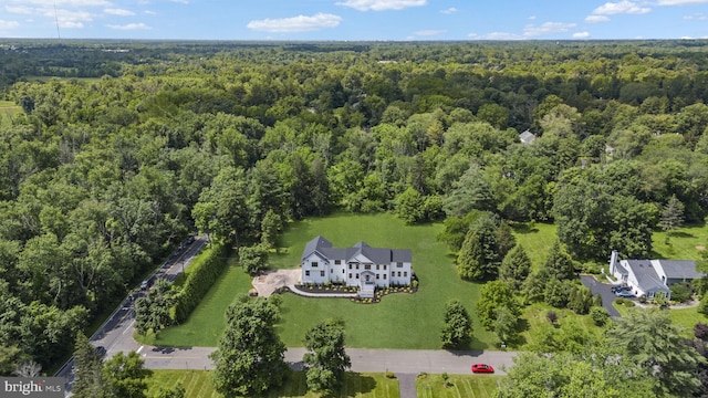 387 Gallup Rd, Princeton, NJ 08540 - view from above of property featuring a heavily wooded area