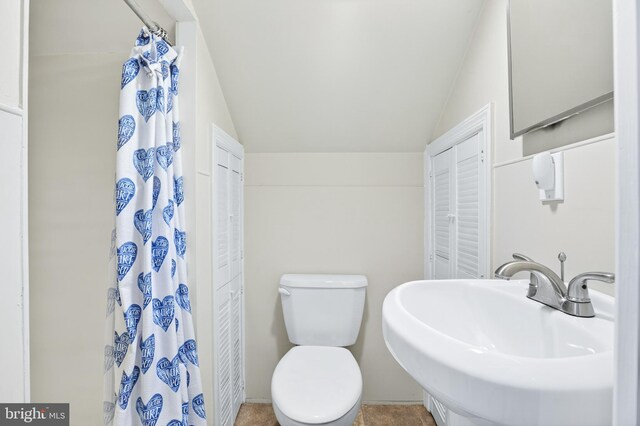 15 Overlook Ave, Lancaster, PA 17601 - bathroom featuring vaulted ceiling and a shower with curtain