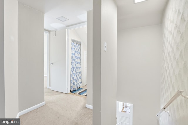15 Overlook Ave, Lancaster, PA 17601 - hall with carpet and baseboards