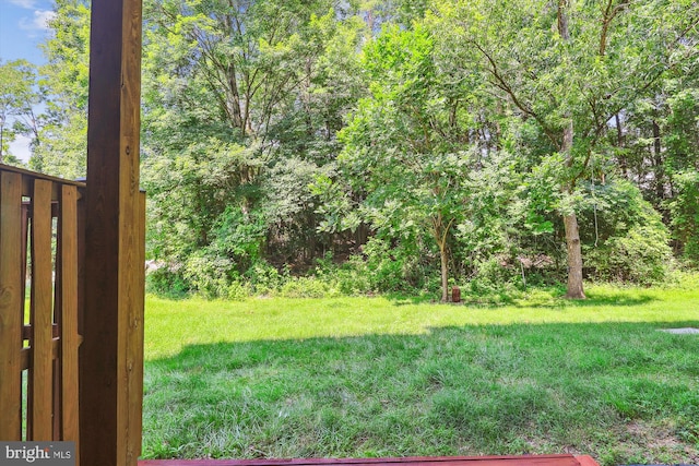 6706 Debra Lu Way, Springfield, VA 22150 - view of grassy yard