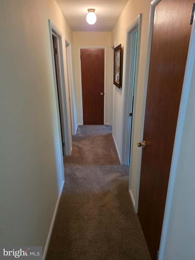 1220 Manatawny St, Pottstown, PA 19464 - hall with carpet and baseboards