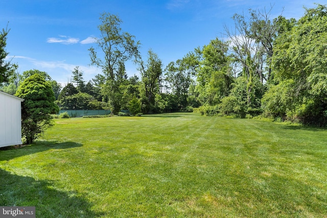1263 Argyle Rd, Berwyn, PA 19312 - view of green lawn featuring a water view