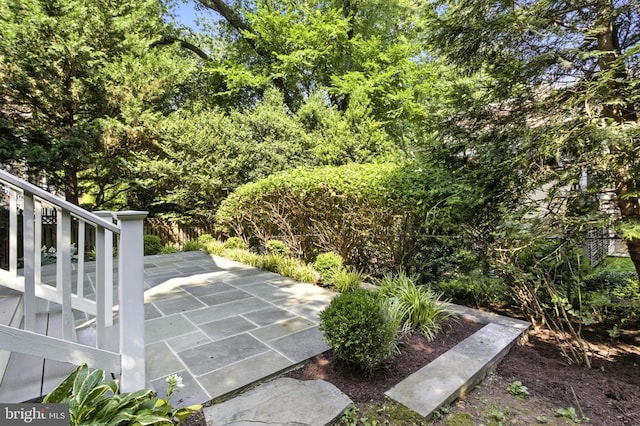 6838 Saint Albans Rd, Mclean, VA 22101 - view of yard