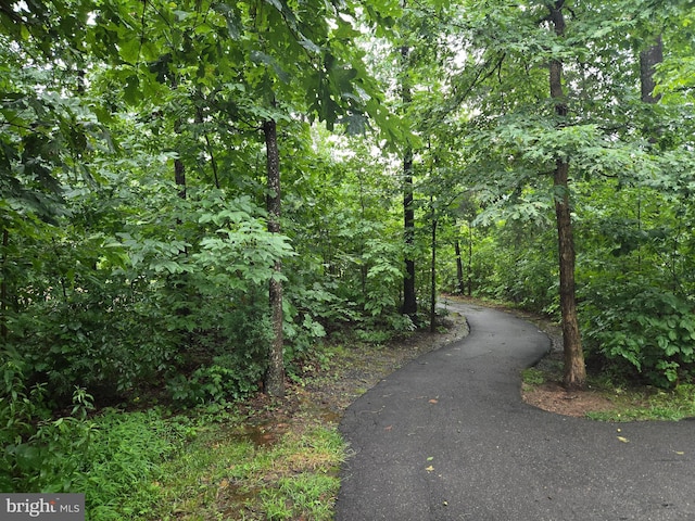 12141 Aster Rd, Bristow, VA 20136 - view of home's community featuring a forest view and driveway