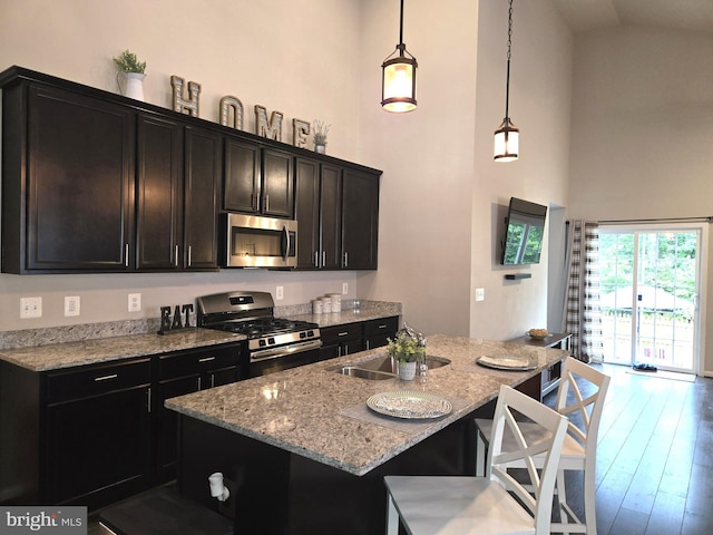 12141 Aster Rd, Bristow, VA 20136 - kitchen featuring stainless steel appliances, high vaulted ceiling, light stone counters, decorative light fixtures, and a center island with sink
