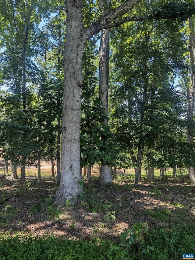 LOT7 Advance Mills Rd Unit 7, Ruckersville, VA 22968