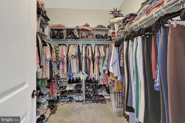 1283 Yarmouth Ln, New Cumberland, PA 17070 - spacious closet with carpet floors