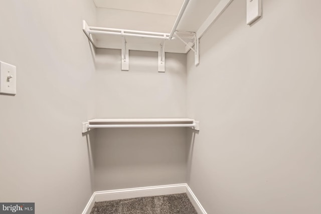 1508 N Eden St, Baltimore, MD 21213 - spacious closet with carpet flooring