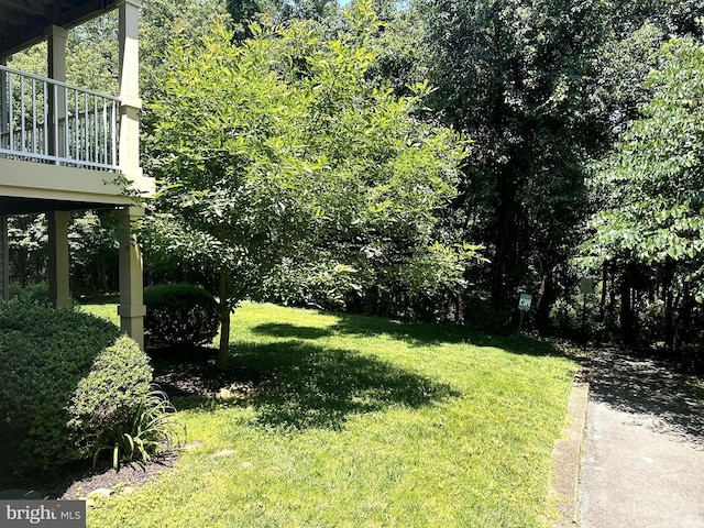 18815 Sparkling Water Dr Unit 4-O, Germantown, MD 20874 - view of green lawn