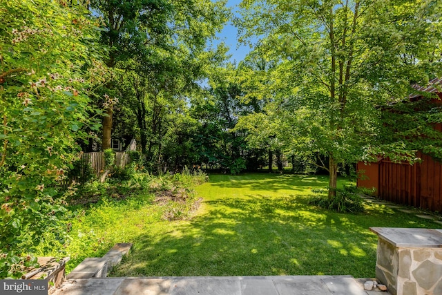 1012 Grant St, Herndon, VA 20170 - view of yard