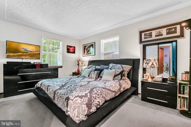 47 Sheridan Rd, Arnold, MD 21012 - carpeted bedroom with multiple windows and a textured ceiling