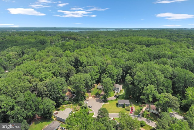 47 Sheridan Rd, Arnold, MD 21012 - drone / aerial view of a forest