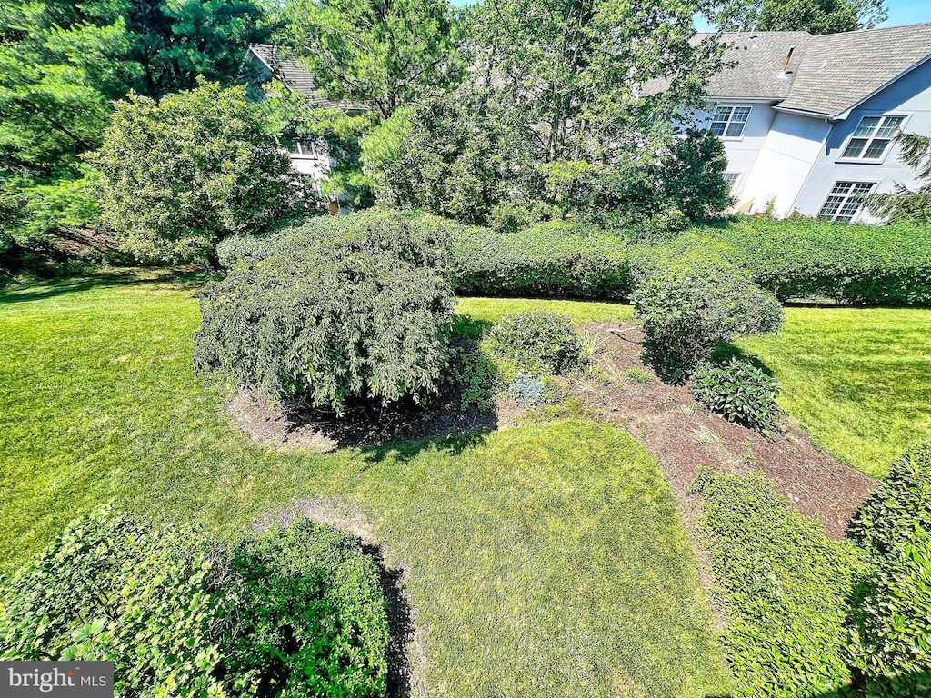 8819 Howard Frst Unit 8819, Baltimore, MD 21208 - view of grassy yard