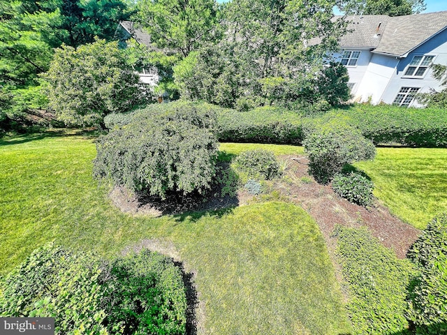 8819 Howard Frst Unit 8819, Baltimore, MD 21208 - view of grassy yard