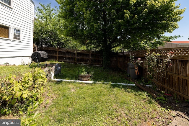 5378 Main St, Stephens City, VA 22655 - view of fenced backyard