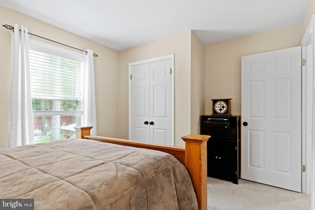 6111 Summit Pointe Dr, Harrisburg, PA 17111 - bedroom with light carpet and a closet