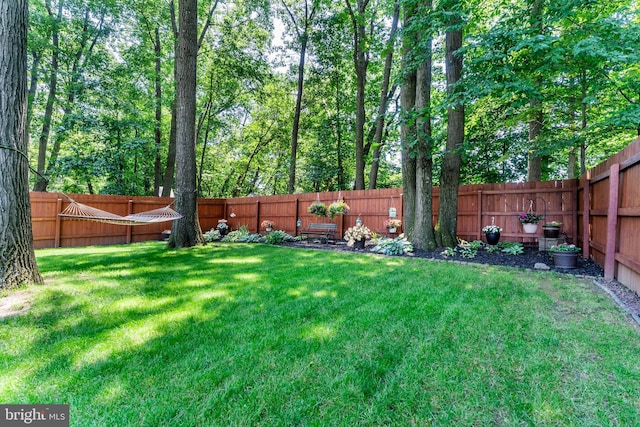 6111 Summit Pointe Dr, Harrisburg, PA 17111 - view of fenced backyard