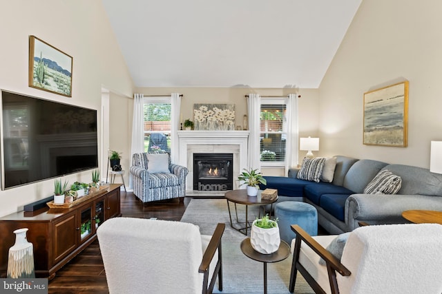 6111 Summit Pointe Dr, Harrisburg, PA 17111 - living room with dark wood-type flooring, a glass covered fireplace, and high vaulted ceiling